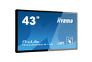 Ecran tactile IIYAMA 43''